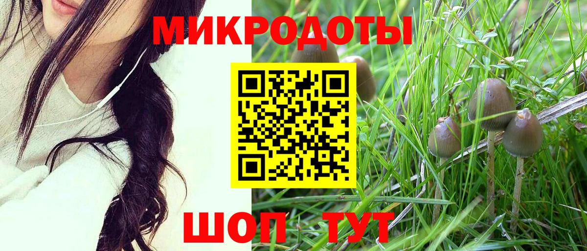 Галлюциногенные грибы Magic Shrooms Тверь